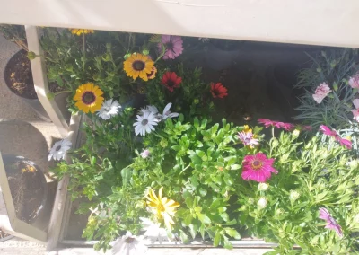 Plantas Exterior 7 img